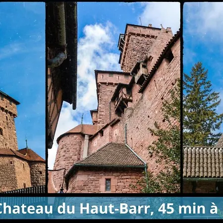 A Decouvrir - Le Boheme *